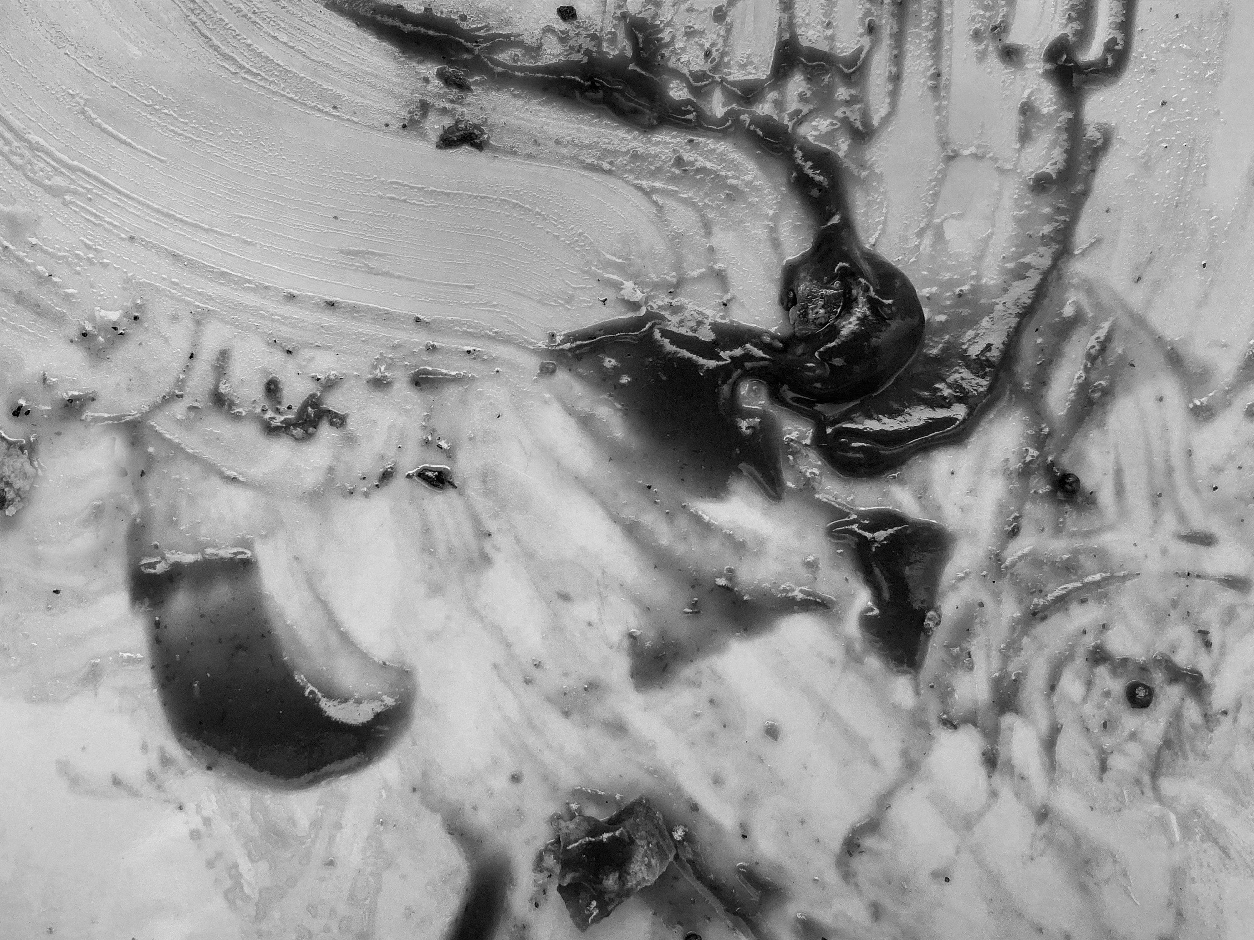 A Black and White Overhead shot of a plate with food or garnish