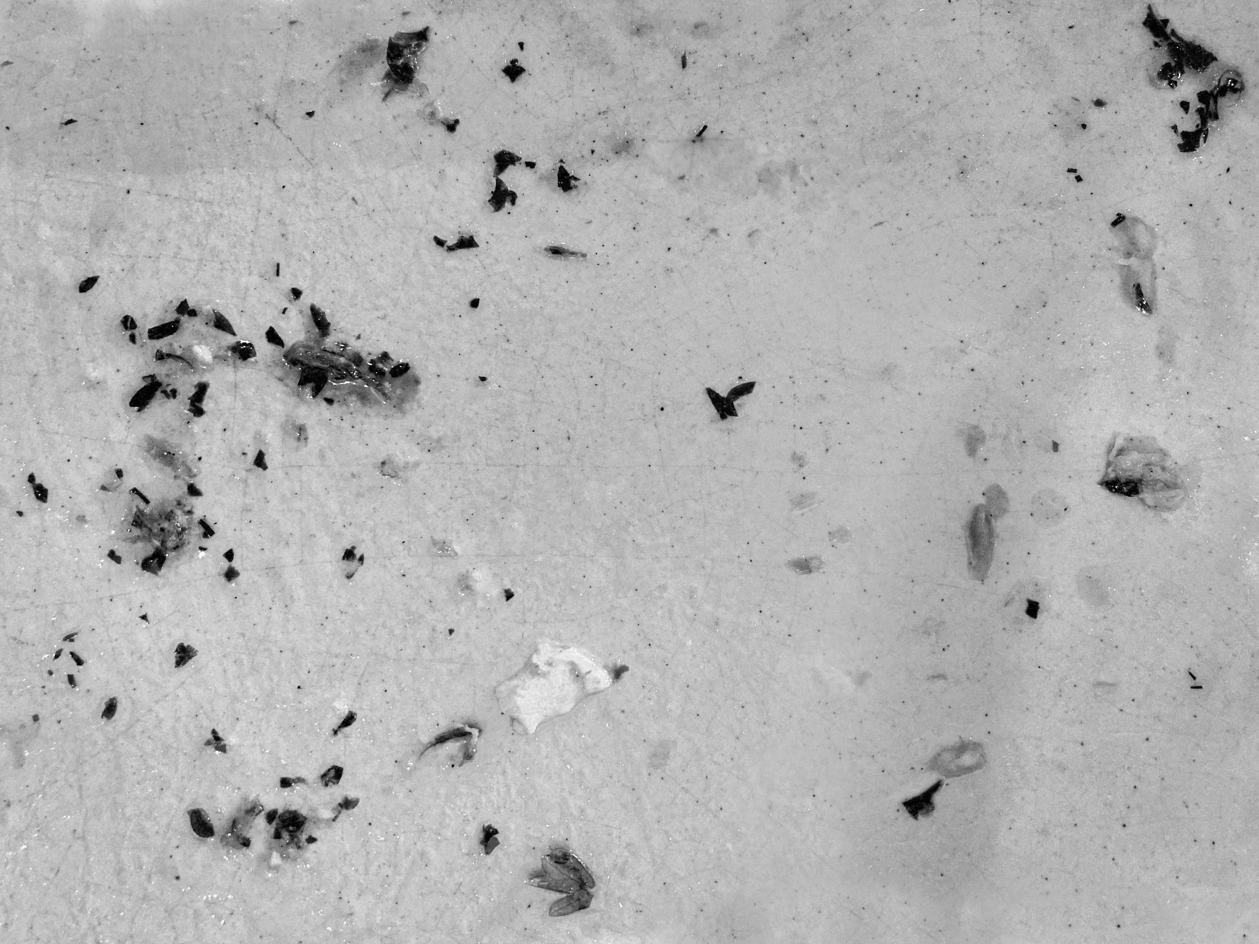 A Black and White Plate resting on fabric with subtle shadow