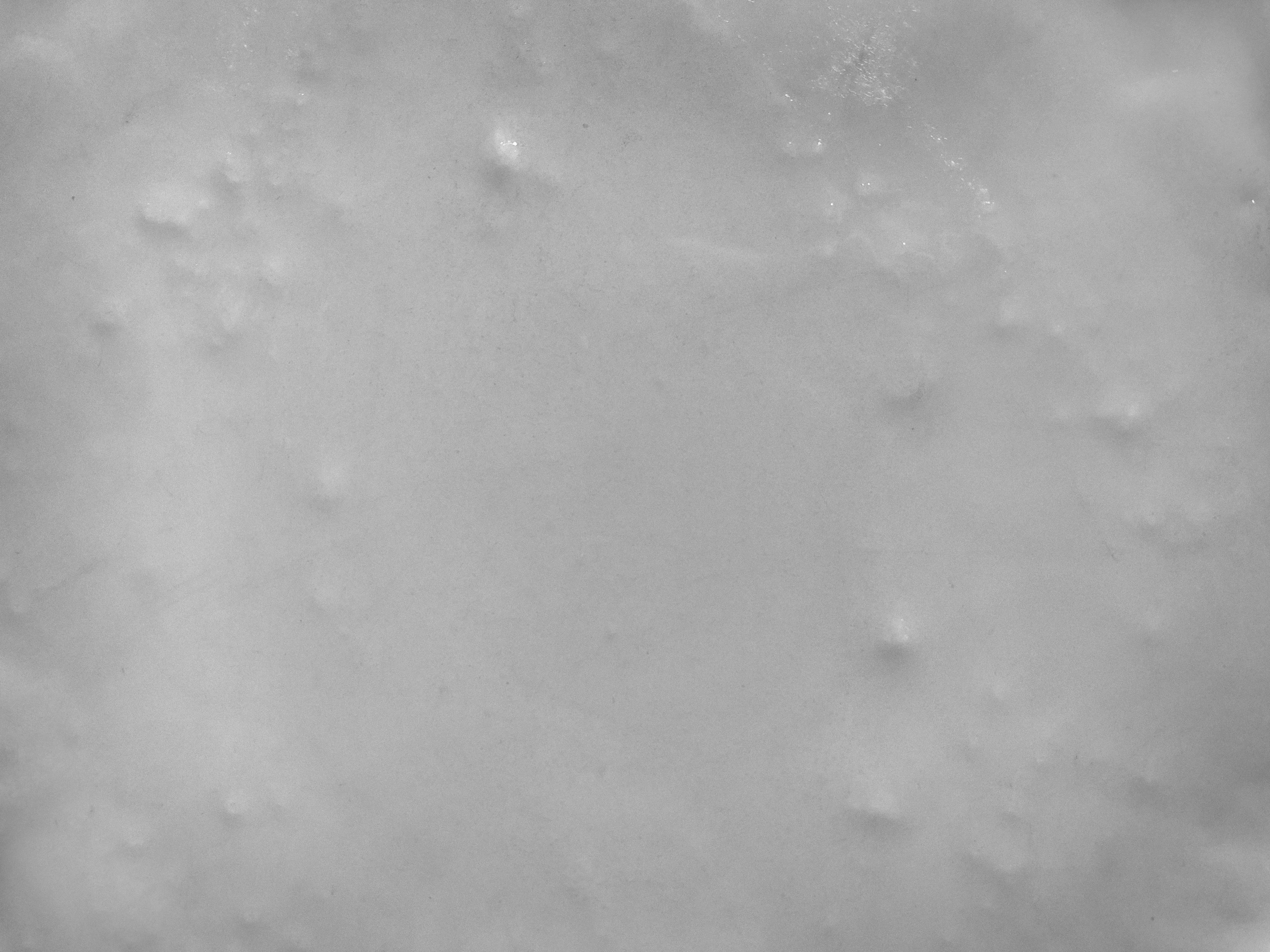 A Black and White Close-up of a plate with decorative pattern and soft lighting